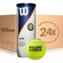 Caja X24 tubos Wilson Roland Garros
