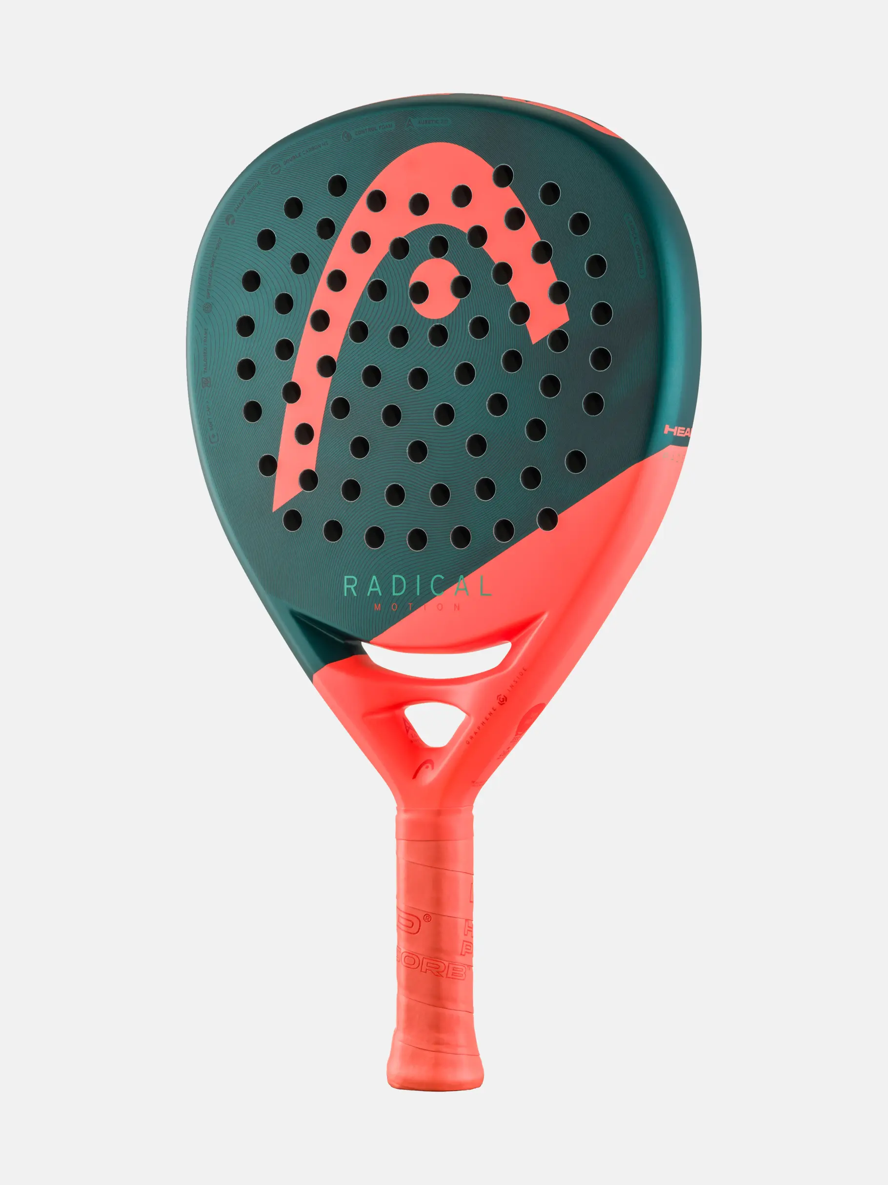 Paleta Head Radical Motion 2025